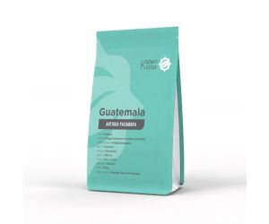 Guatemala Antigua Pacamara